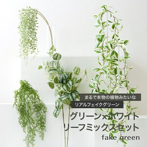 tFCNO[ ZbgAtFCNO[ ϗtA lH Ǌ| ~j nMO ݂艺   O[EH[Euphoria [tHAƂ̑gݍ킹ɂ tFC