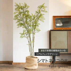 [11OFFI11/1N[|]tFCNO[ A AtFCNO[ ϗtA lH   ^ A V}glR̖ JQ