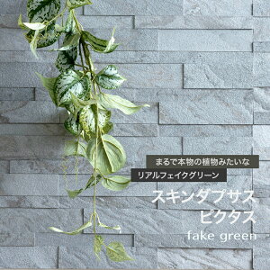 [Si|Cg10{I520`4H]tFCNO[AtFCNO[ ϗtA lH Ǌ| ~j nMO ݂艺   oC 傫߃TCỸtFCNO[ XL