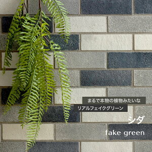 [Si|Cg10{I520`4H]tFCNO[AtFCNO[ ϗtA lH Ǌ| ~j nMO ݂艺   傫߃TCỸtFCNO[ V_ C-F-3