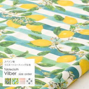 [Si|Cg10{I2520`4H]e[uNX  h   􂦂 Vv }bg HJo[ ~l[gR[eBOn | nhCh n140cm 50cmȏ10cm