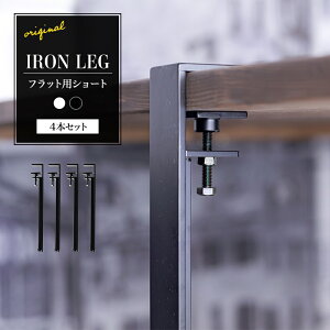 e[u r Nv e[ur p[c Sr ACAbO IRON LEG V[g tbg 4rZbg 40cm re[W  fXN Ƒ JtF S _CjOe[u zCg ubN 