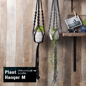 [Si|Cg10{I1020`4H]vgnK[ M O ubN O[  VO^Cv nLOnK[ ϗtA  ݂邷 vgz_[  }NnMO J