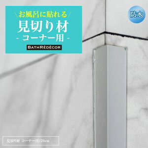 [Si|Cg10{I1020`4H]oXfR p؂ R[i[p 2{ oXpl ǃpl ɓ\ h C EH[pl ǖ  嗝Β RN[g 