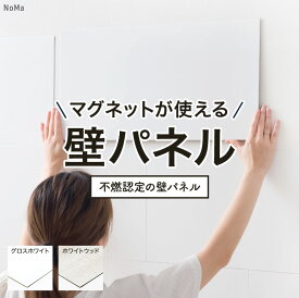 [全品ポイント10倍！20日20時〜4H限定]壁パネル 磁石がくっつく マグネットがつく壁 キッチン 洗面所 マグネットボード マグネットウォール キッチンパネル ウォールパネル マグネット収納 diy 不燃 58cm×29cm 29cm×29cm NoMa ノマ CSZ
