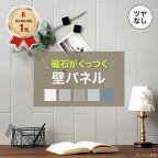 [11％OFF！4/1限定クーポン ]磁石がくっつく スチールパネル キッチン 洗面所 マグネットシート 壁パネル キッチンパネル ウォールパネル マグネット収納 ステンレスタイル ステンレスパネル SNiON シニオン マットカラー 10cm×20cm CSZ