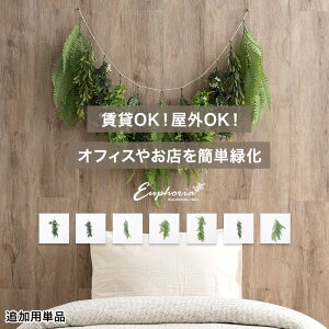 tFCNO[ Ǌ| ǖʗp ǗptFCNO[ O[pl O[EH[ UV DIY ǖʗΉ pl ϗtA  i` ItBX X  O  OK Euphoria 