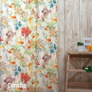 [P10{ 420`4+2000~OFFN[|][TCYI[_[]J[e  An 􂦂 ʂ Ռ Rbg { YH923 R` 50`270cm×50`260cm 1 OKC5