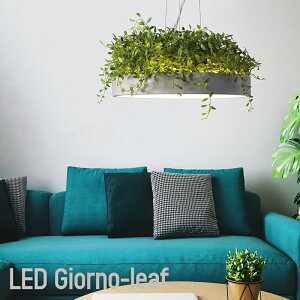 Ɩ Ɩ  LED y_gv V[OCg  F  Vv _ rO _CjO Rt ubN  DI CLASSE LED Giorno ceiling pendant lamp JQ