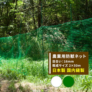 [P10{ 420`4+2000~OFFN[|]Aj}lbg hb _Ɨplbg 16mm 2m×50m [h bQ Q CmVV  ChbZ Aj}lbg c  _ _ | ƒ؉ A