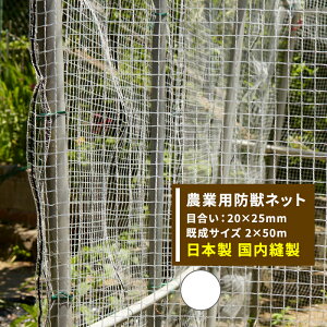 [P10{1020`4+2000~OFFN[|]Aj}lbg hb _Ɨplbg 20×25mm 2m×50m zCg [h bQ Q CmVV  ChbZ Aj}lbg c  _ _ | 