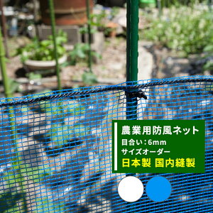 [11OFFI11/1N[|]hlbg _Ɨp  lbg 6mm TCYI[_[ `300cm×`800cm u[  ChbZ h c  _ _ | ƒ؉ AO agri Ռ ۉ ϋv {