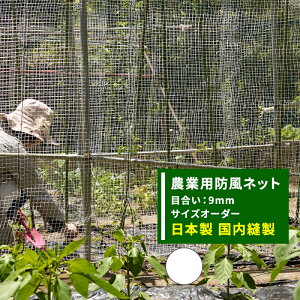 防風ネット 白の人気商品 通販 価格比較 価格 Com 防風ネット 白の人気商品 通販 価格比較 価格 Com