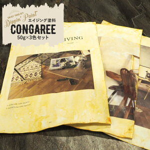 [11OFFI12/1N[|]ANh RK[ CONGAREE 50g×3FZbg h yL G fBbsyCg diy CN O   }bgJ[ Ă Î AeB[N D