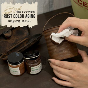 [11OFFI12/1N[|]ANh KGCWOyCg RUST COLOR AGING 100g×2F MZbg h yL G fBbsyCg diy CN O   }bgJ[  T