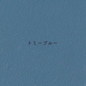 [10％OFF！15日限定クーポン]漆喰風 ひとりで塗れるもん 11kg 22kg 塗り壁 練り済 漆喰塗料 石灰製壁材 自然 天然塗り壁材 diy 内装仕上げ材 左官 湿度調整 消臭 保湿 防カビ 塗りやすい リフォーム グレー 黒 塗装 しっくい 壁 直送品 ぬれるもん OWQ