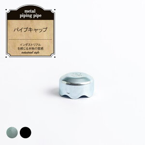 pCv ^zǃpCv pCvNp[ pCvLbv 25.4p  [KX  nK[bN Be[W z C_XgA diy ubN jO ߑnK[ nK[p