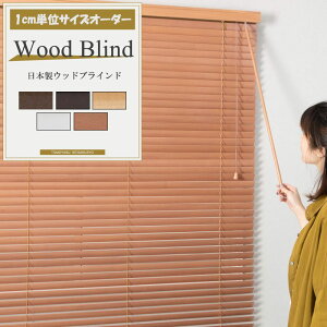 { uCh ؐ EbhuCh VR oXEbh TCYI[_[ ؖ Ռ  49 Xbg EbhuCh TKF 81`100cm/121`148cm JQ