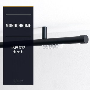 [11OFFI11/1N[|]J[e[ ACA[    uPbgX[ Ci[ VtZbg 201`250cm AfBE ADIUM v~AmN[ H-N-0