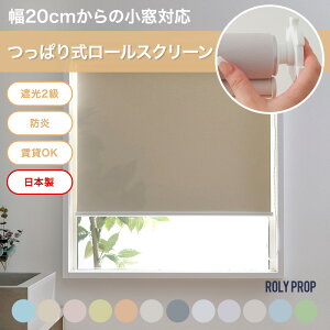 [Si10OFFI25N[|]˂莮 [XN[ Ռ h [J[e XN[J[e  ډB OK ROLY PROP [[vbv n ݃J[ 30.5`60cm 121