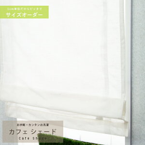 [10OFFI15N[|]n[h[v] [X/ JtFVF[h TCYI[_[/Ё`50cm×`100cm Iׂ鐶n150ވȏI[ς_ J[e[  J[e Xbg] OKC5