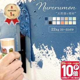 [10％OFF！15日限定クーポン]漆喰風 ひとりで塗れるもん 11kg 22kg 塗り壁 練り済 漆喰塗料 石灰製壁材 自然 天然塗り壁材 diy 内装仕上げ材 左官 湿度調整 消臭 保湿 防カビ 塗りやすい リフォーム グレー 黒 塗装 しっくい 壁 直送品 ぬれるもん OWQ