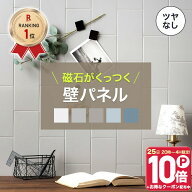 [15日限定！10％OFFクーポン×P10倍 20時〜4H限定]磁石がくっつく スチールパネル キッチン 洗面所 マグ…