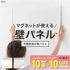 [エントリーでP20倍 10日20時〜6時間+1000円OFFcp]壁パネル 磁石がくっつく マグネットがつく壁 キッチン 洗面所 マグネットボード マグネットウォール キッチンパネル ウォールパネル マグネット収納 diy 不燃 58cm×29cm 29cm×29cm NoMa ノマ C-F-3