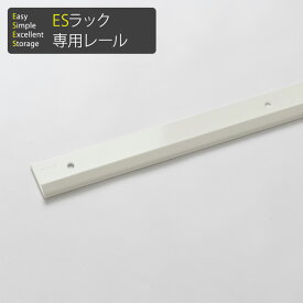 楽天市場 可動棚 レールの通販