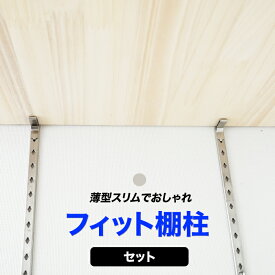 楽天市場 可動棚 レールの通販