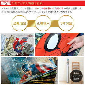 楽天市場 壁紙 輸入壁紙 インポート壁紙 スパイダーマン マーベル Marvel Marvel 粉のり付 紙 おしゃれ クロス 店舗 内装 撮影 ドイツ製 Marvel Spider Man Concrete 8 467 壁紙 ウォールデコ 壁際貴族