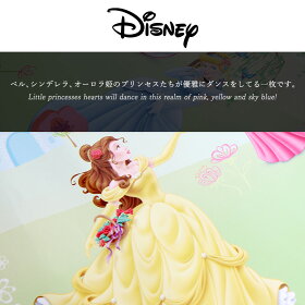 楽天市場 壁紙 輸入壁紙 海外 インポート壁紙 ディズニー Disney Disney プリンセス ベル オーロラ姫 シンデレラ 粉のり付 紙 おしゃれ クロス 店舗 内装 撮影 ドイツ製 Princess Garden 1 417 Diy 補修 リビング トイレ 玄関 リフォーム ウォールペーパー Wallpaper