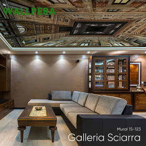 �ǎ� �N���X �A���ǎ� �C�O ������� �t���[�X WALLPERA �V�� Mural 15-123 Galleria Sciarra �K�����A�V���b�� diy ��C �X�� ���� ���r���O �g�C�� ���� ���t�H�[�� �B�e�p �E�H�[���y�[�p�[ wallpaper C-F-1