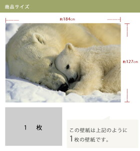 楽天市場 1000円offクーポン 楽天マラソン限定 壁紙 のりなし のり付き おしゃれ クロス 輸入壁紙 海外 紙 店舗 内装 撮影 ドイツ製 景色 動物 白くま Polar Bears ホッキョクグマ 1 605 Diy 補修 店舗 内装 リビング トイレ 玄関 リフォーム 撮影用 ウォールペーパー