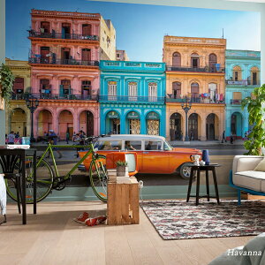 ǎ ̂Ȃ  NX Aǎ CO sDz t[X ͂ X  hCc iF iXXL4-042 diy C X  rO gC  tH[ Bep EH[y[p[ wa