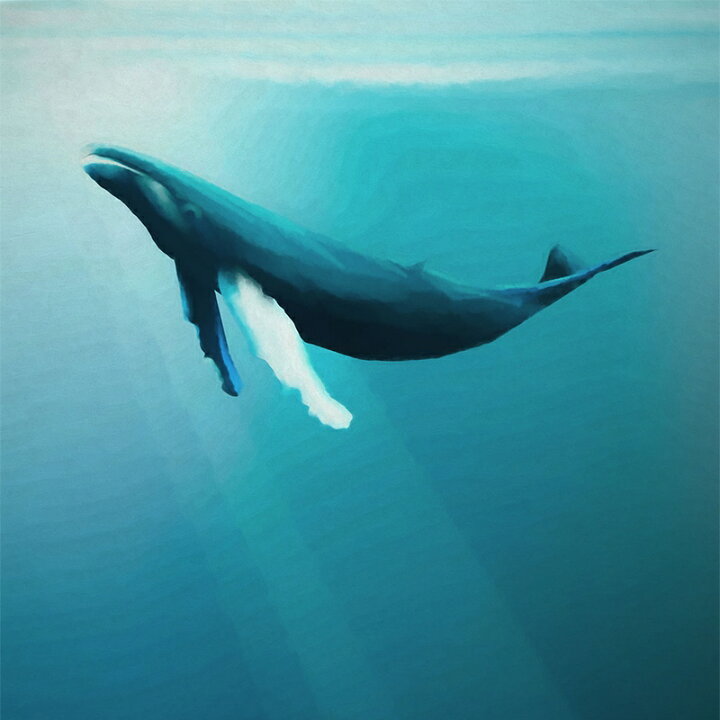 楽天市場 10 Off対象 25日限定クーポン 壁紙 おしゃれ クロス 輸入壁紙 紙 店舗 内装 撮影 ドイツ製 はがせる糊が使える フリース 不織布 鯨 くじら Artsy Humpback Whale アートゥシィ ハンプバック ホエール Iax4 0045 Csz 壁紙 ウォールデコ 壁際貴族