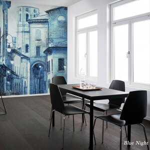 ǎ Aǎ  NX Aǎ  X  Be hCc ͂ X u[ X  Ώ i ǉǎ u[iCg LJX4-019 C-F-1