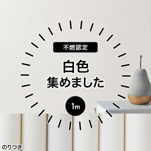 ǎ ̂t ̂ NX 1m tH[  IV sR   ^C Ζ h   D n ӂ EH[V[g EH[y[p[ \ւ ǎNX C