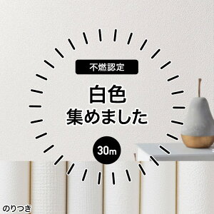 ǎ ̂t ̂ NX 30m tH[  IV sR   ^C Ζ h   D n ӂ EH[V[g EH[y[p[ \ւ ǎNX 