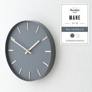 v |v Ǌ|v  k AiO ݃J[  t`_ EH[NbN Mane[l C-F-1