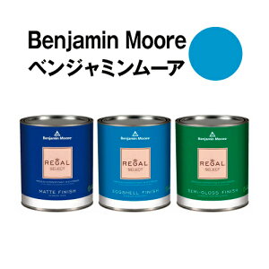 xW~[AyCg 2064-40 clearest clearest ocean yL blueNH[gʁi0.9L)5ĕǎ̏ɓh鐅h