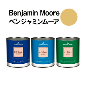 �x���W���~�����[�A�y�C���g 209 buena buena vista �����h�� gold�K�����ʁi3.8L)��20���ĕǎ��̏�ɓh��鐅���y���L