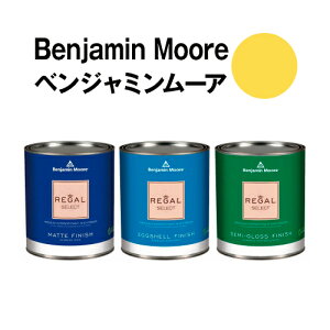 �x���W���~�����[�A�y�C���g 362 st. st. elmo's �����y���L fire�N�H�[�g�ʁi0.9L)��5���ĕǎ��̏�ɓh��鐅���h��