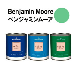 �x���W���~�����[�A�y�C���g 572 branch branch brook �����y���L green�N�H�[�g�ʁi0.9L)��5���ĕǎ��̏�ɓh��鐅���h��