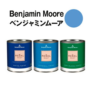 �x���W���~�����[�A�y�C���g 817 brazilian brazilian blue �����y���L �N�H�[�g�ʁi0.9L)��5���ĕǎ��̏�ɓh��鐅���h��