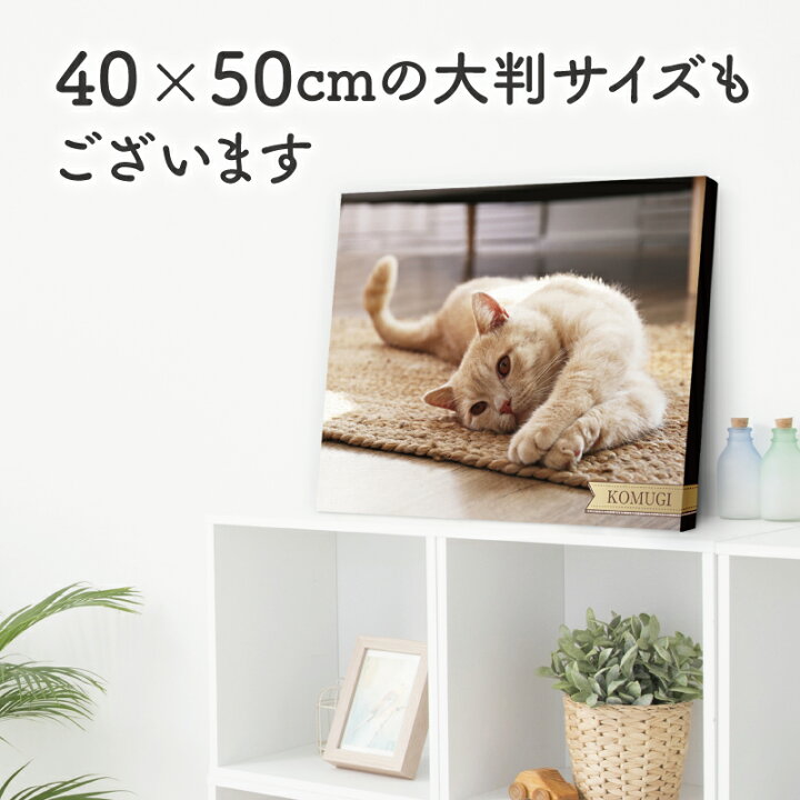 楽天市場】【 ペット ファブリックパネル 】 オーダーメイド フォト  