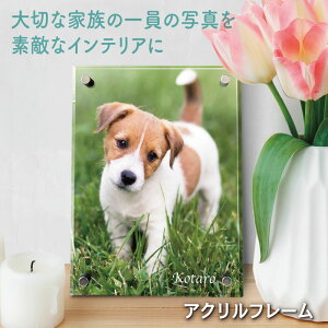 I[_[Ch tHgt[ y ybg z ANt[ IWi  L  ETM nX^[ tFbg  A ʐ^  