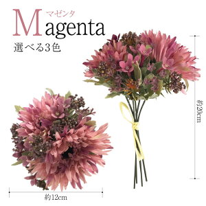 yԁzɂȂ K[x~bNX A[gt[  EFfBO EFJACe EFJ{[h  XbO u[P [Y K[x 