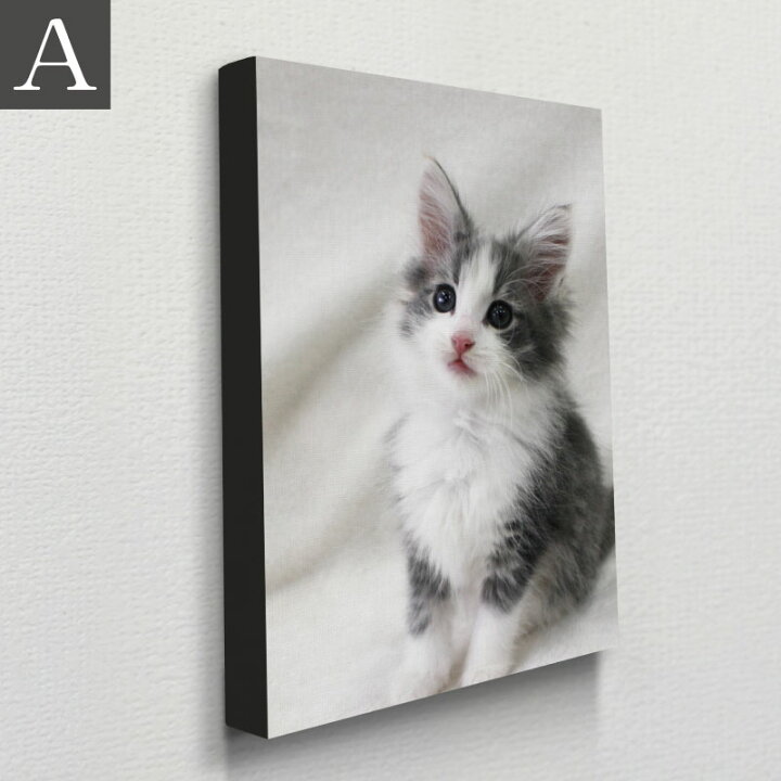 楽天市場】【 ペット ファブリックパネル 】 オーダーメイド フォト  