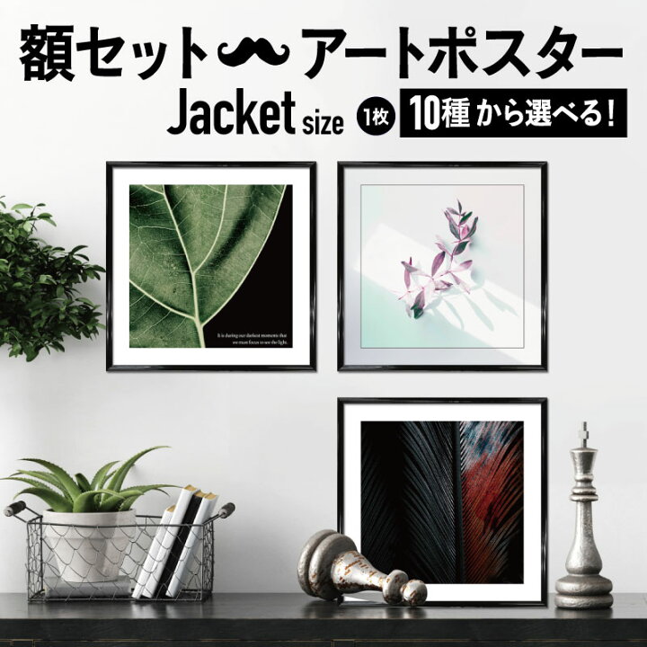 楽天市場 フレーム付 アートポスター 正方形 Botanical Modern モノトーン モノクロ 白黒 ポスター ジャケットサイズ アートパネル 玄関 インテリア アートフレーム モダン ボタニカル 植物 フワラー 花 シンプル シック 額付き ウォレナ 楽天市場店